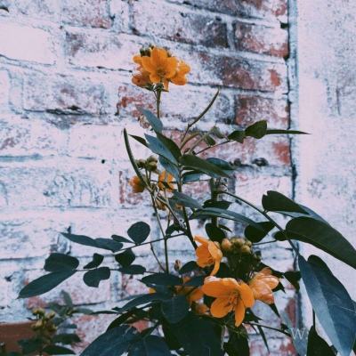 澳门·新葡萄新京威尼斯